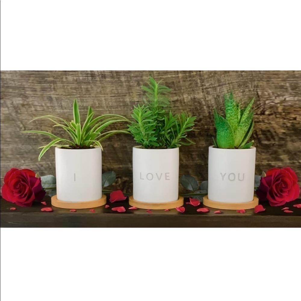 Brand New I Love You Set of 3 Ceramic Planter Pots 3.5” White w/ Bamboo Bases - Picture 11 of 12